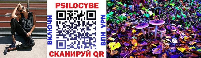 Купить  Северодвинск  Галлюциногенные грибы Psilocybine cubensis 